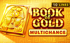 Play Book Of Gold: Multichance on StarcasinoBE online casino