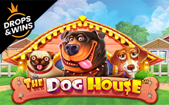Play The Dog House™ on StarcasinoBE online casino