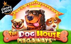 Play The Dog House Megaways™ on StarcasinoBE online casino